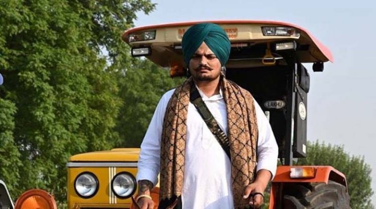 image_750x_62c142d47a482