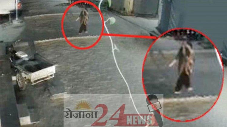 image_750x_63148a65dea97