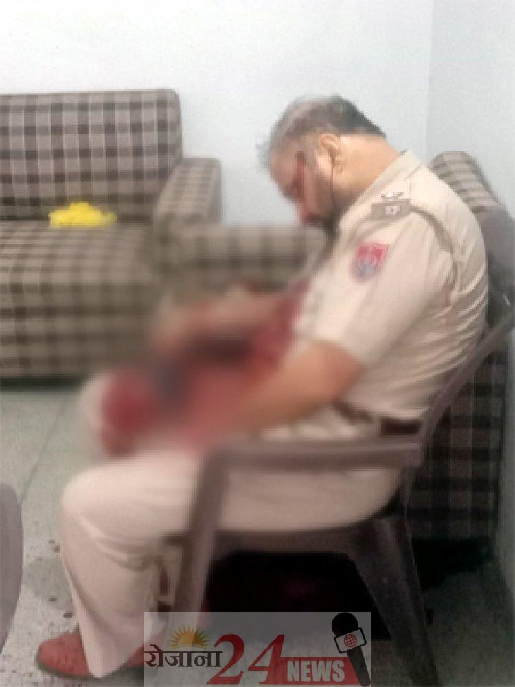 image_750x_631c2c4b596ae