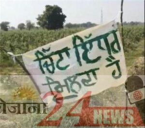 image_750x_633fc54577256