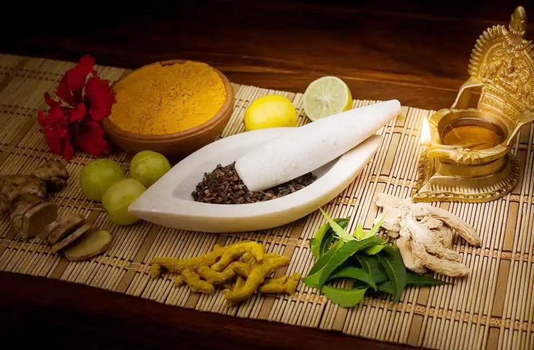 image_750x_6386fe55b4791