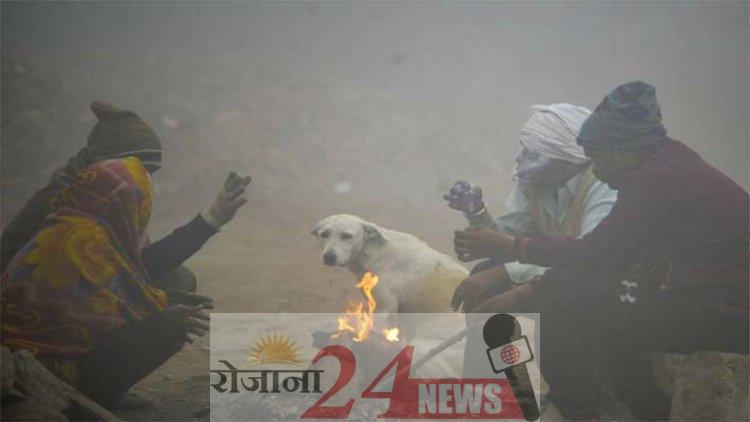 image_750x_63bcff4608c9c