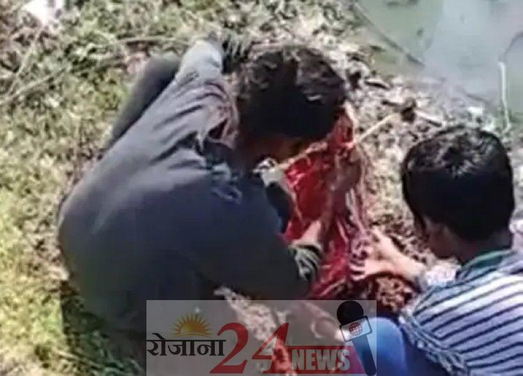 image_750x_63e1e5616971d